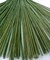 Floral Stem Wire, 100 Pcs, 2 Gauge, 10 Inch, Flower Stems, Artificial Green Crafts Wire Wreath Making Supplies for Flower DIY